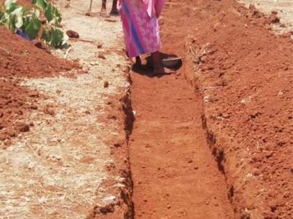 MGNREGA's work gained momentum in the lockdown | लॉकडाऊनमध्ये मनरेगाच्या कामांना आला वेग MGNREGA's work gained momentum in the lockdown | लॉकडाऊनमध्ये मनरेगाच्या कामांना आला वेग
