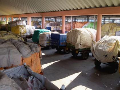 Cotton shopping will start today at the Shahada Center | शहादा केंद्रात आजपासून सुरु होणार कापूस खरेदी Cotton shopping will start today at the Shahada Center | शहादा केंद्रात आजपासून सुरु होणार कापूस खरेदी