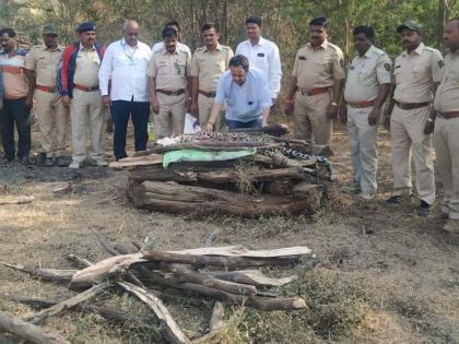 The female was found dead in the carcass | मादी बिबट्या मृतावस्थेत आढळला The female was found dead in the carcass | मादी बिबट्या मृतावस्थेत आढळला