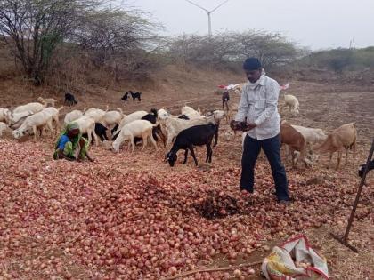 It was time to throw onions at the farmers | शेतकऱ्यांवर कांदा फेकून देण्याची आली वेळ It was time to throw onions at the farmers | शेतकऱ्यांवर कांदा फेकून देण्याची आली वेळ