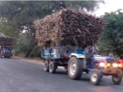 Sugarcane transporters transport their heads without heat protection | ऊस वाहतूकीचा डोक्याला ताप सुरक्षेविनाच वाहतूक करतात रे बाप