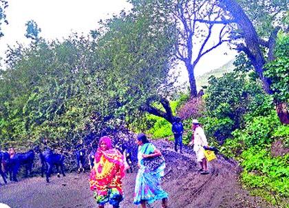 Traffic jam due to tree fell on Sinnar -Thangaon road | सिन्नर -ठाणगाव रस्त्यावर झाड पडल्याने वाहतूक ठप्प