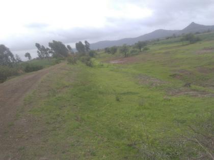 Waiting for rain for farmers in Pimpode Budruk area | पिंपोडे बुद्रुक परिसरातील शेतकऱ्यांना पावसाची प्रतीक्षा