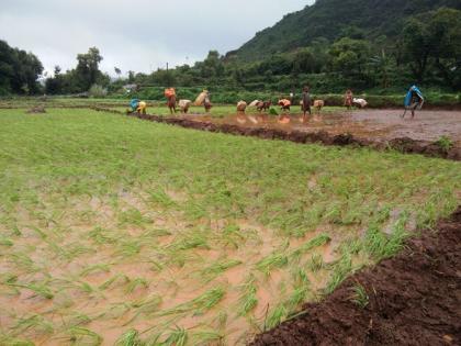 Khataav Taluka pond dryade | खटाव तालुक्यातील तलाव कोरडेच