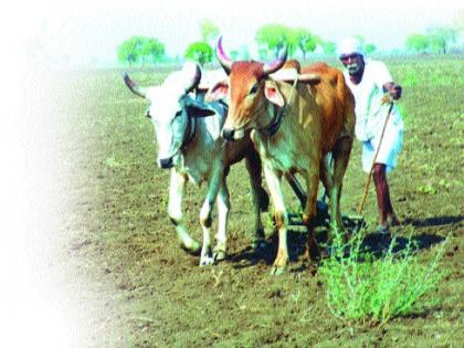 Farming also started in Corona Savat | कोरोना सावटातही शेतीची कामे सुरु