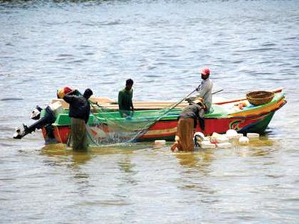 Sindhudurg: The fishermen's sense of freed from militancy |  सिंधुदुर्ग : अतिरेकी मासेमारीच्या जाचातून मुक्त करण्याची मच्छिमारांची भावना