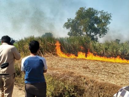 The shot circuit burnt the cane of a farmer in Moody | शॉट सर्किटने मुडी येथील शेतकऱ्याचा ऊस जळून खाक