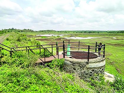 No water in 32 Dams in Washim district | वाशिम जिल्ह्यातील ३२ प्रकल्पांत ठणठणाट