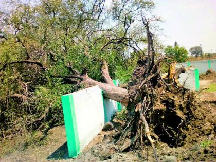 Storm hits Selu taluka | सेलू तालुक्याला वादळाचा तडाखा Storm hits Selu taluka | सेलू तालुक्याला वादळाचा तडाखा
