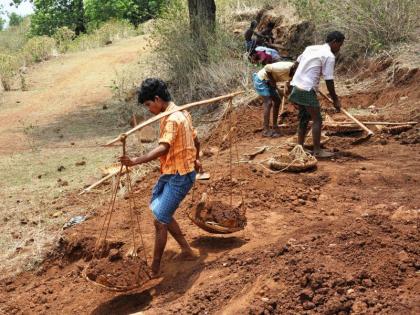 He worked day and night but had not received his salary for eight months; Complaint of 60 forest laborers | ते रात्रंदिवस राबलेत पण आठ महिन्यांपासून पगार मिळालेला नाही; ६० वनमजुरांची कैफियत