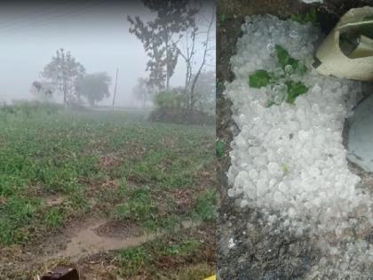 Hailstorm with rain in some parts of vidarbha region | विदर्भाला अवकाळी पावसाचा तडाखा, वीज कोसळून दोघांचा मृत्यू