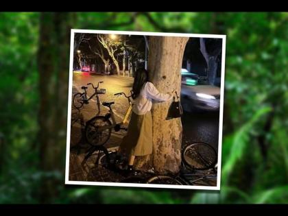 Tree Hugging : Chinese woman hugs tree to feel positive | झाडांना 'जादू की झप्पी', महिलेचा चिंतामुक्त होण्याचा अजब फंडा; तुम्हीही ट्राय करा!