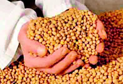 International Soybean Soya Shot | आंतरराष्ट्रीय सट्ट्याचा सोयाबीनला फटका