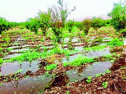 Partial canal water rises on the life of the farmer | अर्धवट कालव्याचे पाणी उठले शेतकऱ्याच्या जीवावर