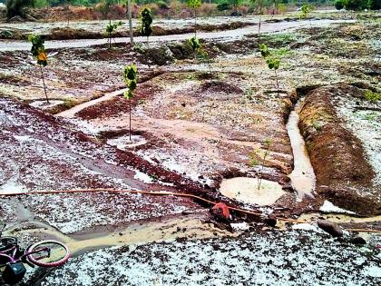 Hailstorm | गारपीट, अवकाळीचा तडाखा