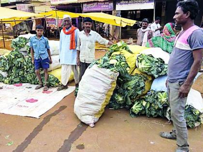 Farmers' eyes in the eyes of Cauliflower | फुलकोबीने आणले शेतकऱ्यांच्या डोळ्यात पाणी