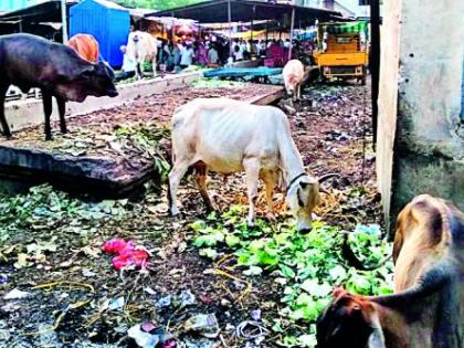 Cleanliness of the Week in the Market | आठवडी बाजारात स्वच्छतेचे धिंडवडे