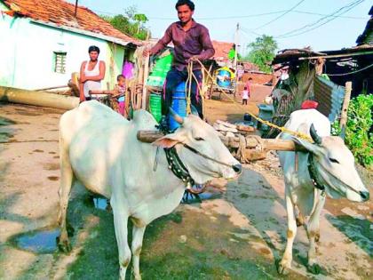 Digitally counted the money for water ..! | पाचगाववासीय मोजतात पाण्यासाठी पैसे..!