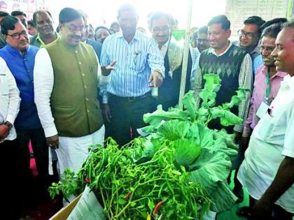 Enrich the district agriculture through Panchasrity | पंचसूत्रीतून जिल्हा कृषी समृद्ध करा