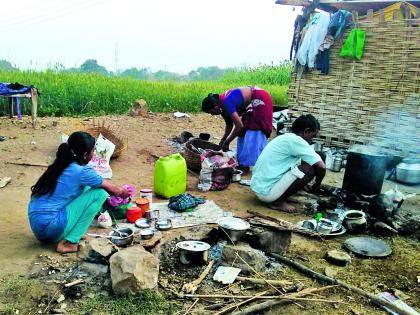 To fill the abdominal stomach, the world is in the field | पोटाची खळगी भरण्यासाठी थाटला शेतातच संसार