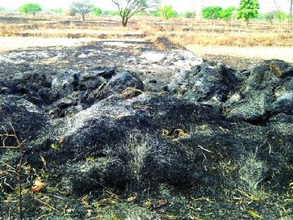 The reason for the fury of the cattle was due to firefight | शेतातील आगीमुळे गुरांच्या वैरणाची होताहे राखरांगोळी