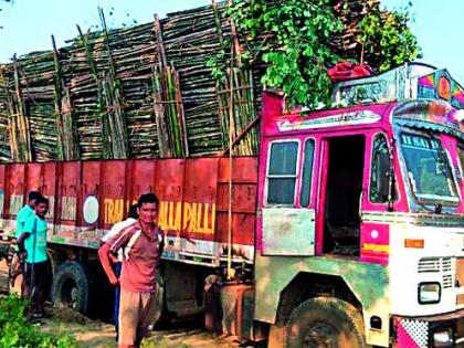 Kuchar sold the bamboo by weight | कुचेर गावाने विकला वजनानुसार बांबू