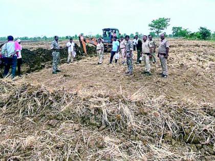 Encroachment on 13 hectares removed by Forest Department | वनविभागाने काढले १३ हेक्टरवरील अतिक्रमण