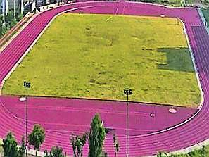The work of Chamorshi's sports complex will be delayed by awakening | जागेमुळे लांबणार चामोर्शीच्या क्रीडा संकुलाचे काम The work of Chamorshi's sports complex will be delayed by awakening | जागेमुळे लांबणार चामोर्शीच्या क्रीडा संकुलाचे काम