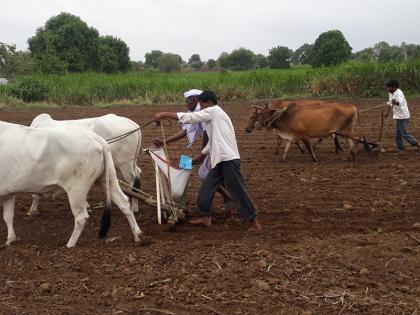 Due to drizzling rain, sowing starts in Jalna district | रिमझिम पावसामुळे जालना जिल्ह्यात पेरण्यांची लगबग सुरु