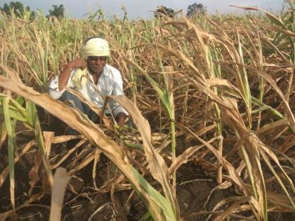 Worried by rainy season | पावसाच्या दडीने वाढवली चिंता