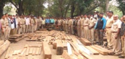 Illegal timber seized from Navapur taluka | नवापूर तालुक्यातून अवैध लाकूड जप्त