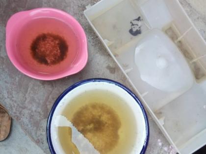Dengue larvae have been found in Gandhinagar city | शहरातील गांधीनगरात आढळून आल्या डेंग्यूच्या अळ्या Dengue larvae have been found in Gandhinagar city | शहरातील गांधीनगरात आढळून आल्या डेंग्यूच्या अळ्या