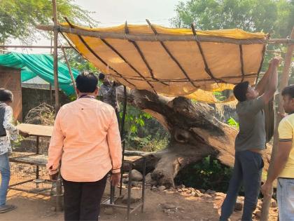 Notice issued by Taloda Municipality to 3 encroachers | तळोदा पालिकेतर्फे ३५ अतिक्रमणधारकांना नोटीसा Notice issued by Taloda Municipality to 3 encroachers | तळोदा पालिकेतर्फे ३५ अतिक्रमणधारकांना नोटीसा