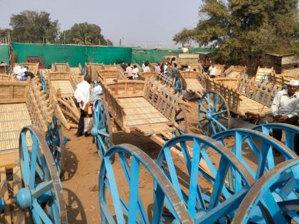 The traditional bullock market has been strong for over 5 years | १०० वर्षापासून पारंपरिक बैलगाडी बाजारही तग धरुन The traditional bullock market has been strong for over 5 years | १०० वर्षापासून पारंपरिक बैलगाडी बाजारही तग धरुन