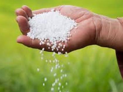 Fertilizer was created due to lack of labor | मजुरांअभावी निर्माण झाली खतटंचाई Fertilizer was created due to lack of labor | मजुरांअभावी निर्माण झाली खतटंचाई