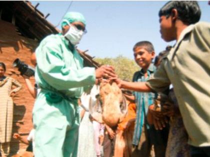 Bird flu has also spread to chickens in Navapur area | बर्ड फ्लूमुळे नवापूर परिसरातील गावराणी कोंबड्यांवरही संक्रांत Bird flu has also spread to chickens in Navapur area | बर्ड फ्लूमुळे नवापूर परिसरातील गावराणी कोंबड्यांवरही संक्रांत