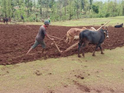 The rush for kharif work | खरिपाच्या कामांची लगीनघाई