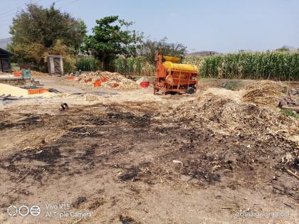  Corn husk eaten with shorts circuit | शॉर्टसर्किटमुळे मक्याचा भुसा खाक