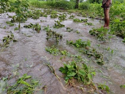  3 houses fall due to heavy rains | कळमसरेत अतिवृष्टीने ३३७ घरांची पडझड