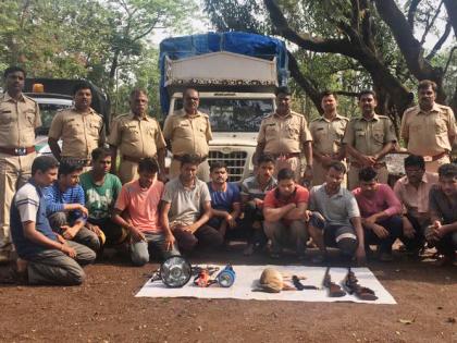 Ratnagiri: 13 people arrested in a snarl hunting hunt | रत्नागिरी : चोरटी शिकार करणारे जाळ्यात, १३ जणांना अटक