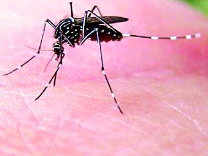 Dengue scarring of 157 patients in ten months | दहा महिन्यात १५७ रुग्णांना डेंग्यूचा डंख