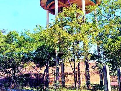 Disintegration of the water tank | पाण्याच्या टाकीला घाणीचा विळखा