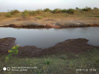  The problem of drinking water of stagy is solved | हरिणांचा पिण्याच्या पाण्याचा प्रश्न सुटला