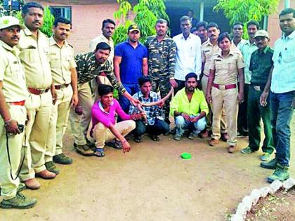 The arrest of snake traffickers at Jawla | जवळा येथे सापाची तस्करी करणाºयांना अटक