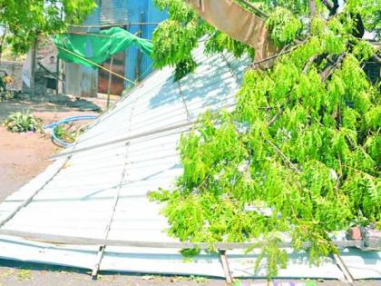 Heavy rains hit the district | जिल्ह्यात वादळी पावसाचा तडाखा Heavy rains hit the district | जिल्ह्यात वादळी पावसाचा तडाखा