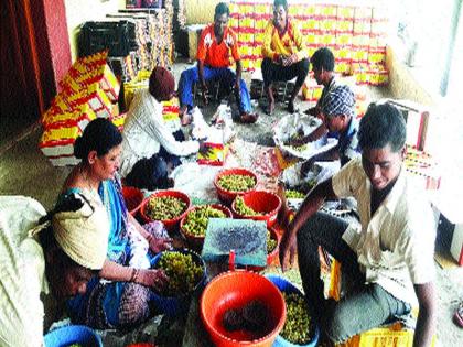  'Sweet' 'Sour' due to grapple; A total of 20 thousand people hit | ‘गोड’ द्राक्ष भावाअभावी ‘आंबट’; एकरी २० हजारांचा फटका