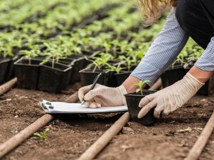 Admission deadline for state agriculture courses is till Wednesday | राज्यातील कृषी अभ्यासक्रमासाठी प्रवेशाची मुदत बुधवारपर्यंत