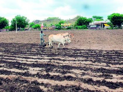 Dust sowing on 13 thousand hectares in danger | 13 हजार हेक्टरवरील धूळ पेरणी धोक्यात