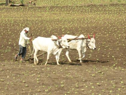 District Agriculture Authority will be established for the adjudication of agriculture | शेतीच्या निवाड्यासाठी जिल्हा कृषी प्राधिकरण स्थापन होणार