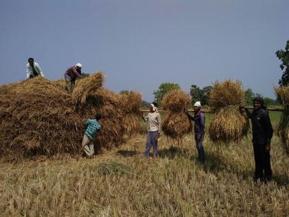 Only 18 out of 51 farmers killed in poisonous pesticide spraying benefit | विषारी किटकनाशक फवारणीत मृत्युमुखी पडलेल्या ५१ पैकी फक्त १८ शेतकऱ्यांच्या कुटुंबियांनाच मिळणार विमा संरक्षणाचा लाभ